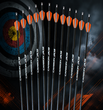 Carbon X9 Arrows